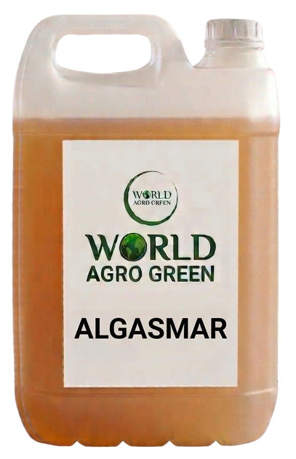 ALGASMAR