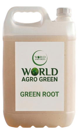 Green root