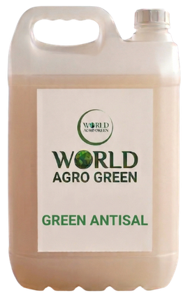 Green antisal
