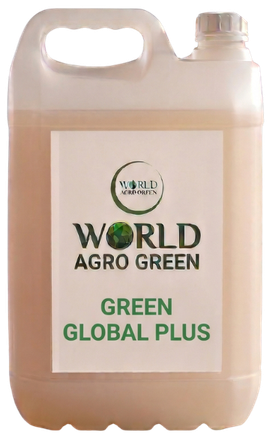 Green global plus